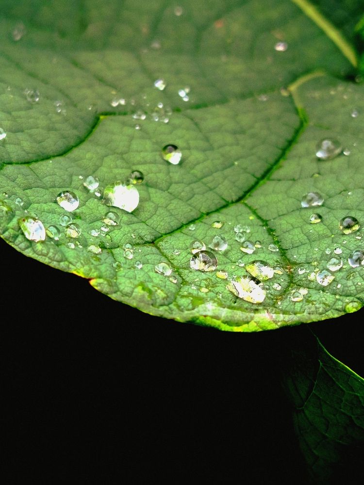 Фотография автора Jindřiška Kučerová