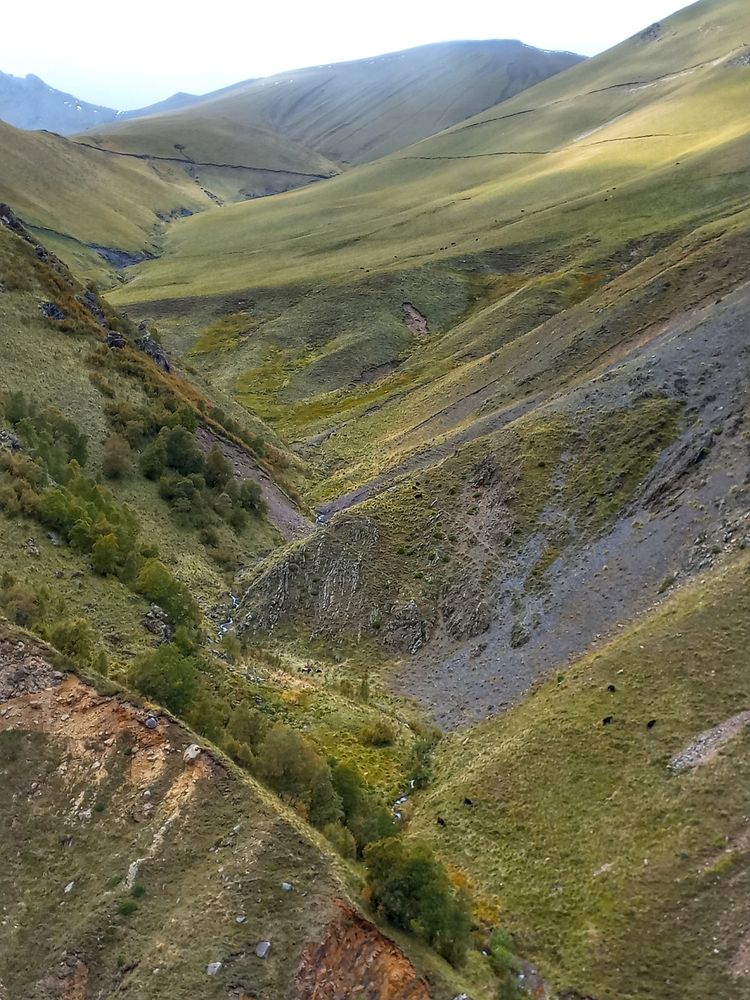 Photograph by OLGA MIKHNEVICH