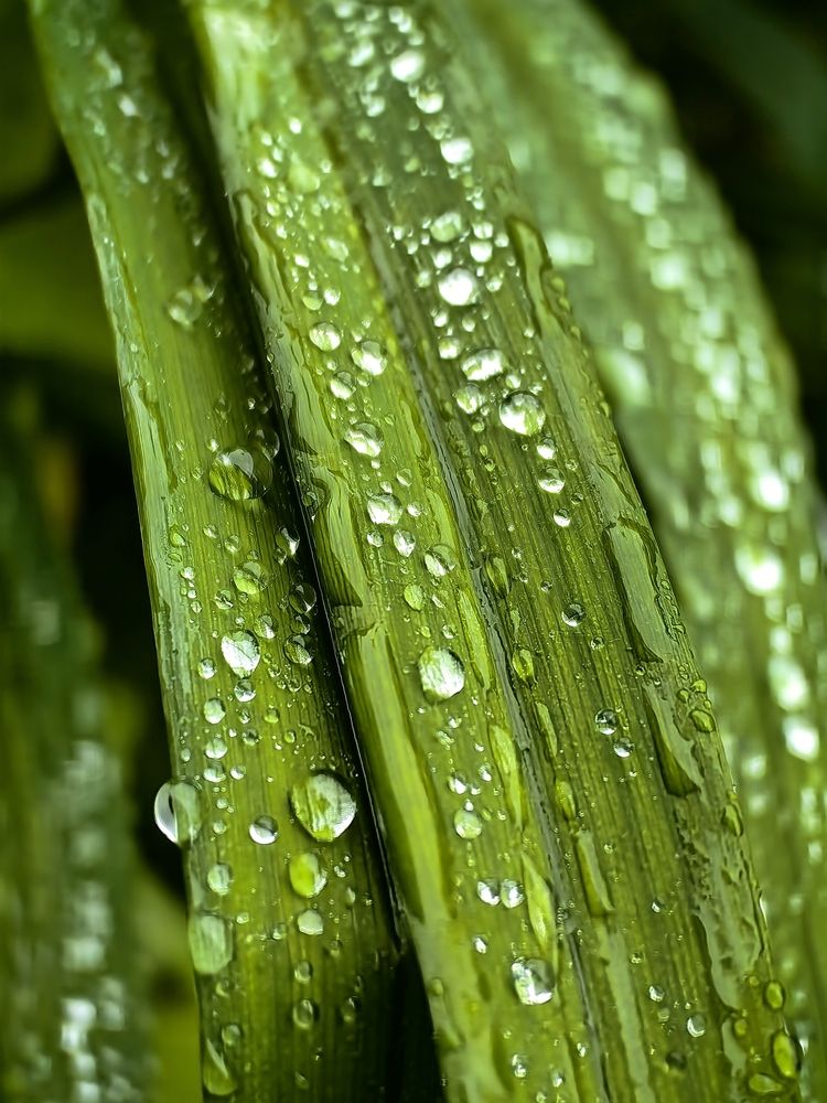 Photograph by Алексей Швайка