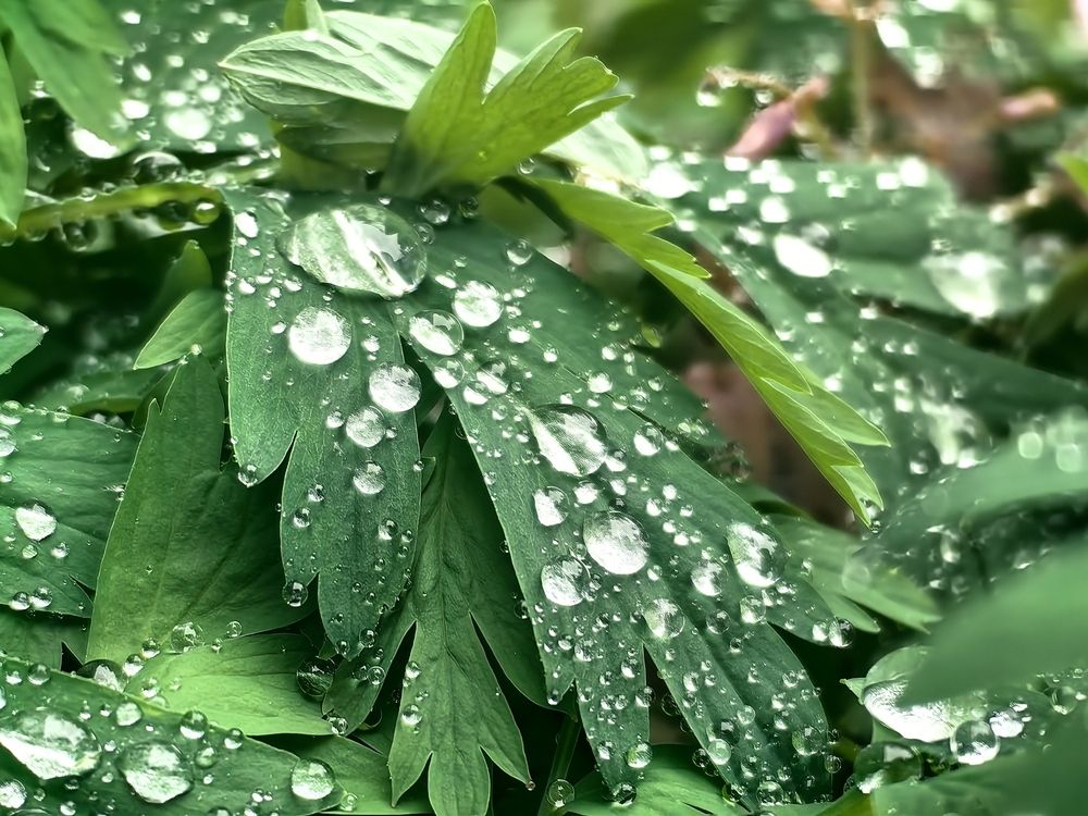 Photograph by Алексей Швайка