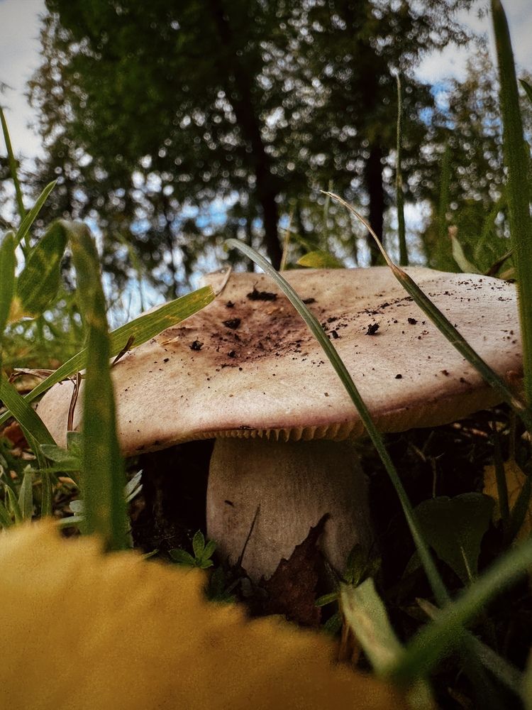 Photograph by Таня Ускова