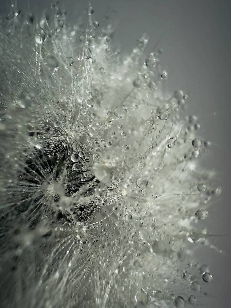 Photograph by Татьяна Цапкова