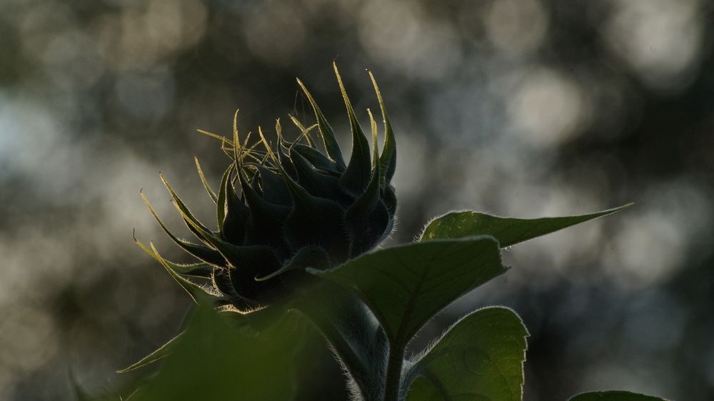 Photograph by Екатерина Молчанова