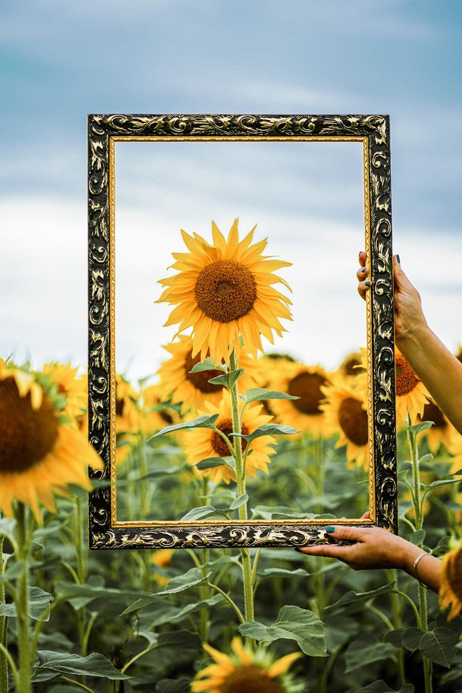 Photograph by Ольга Клименкова