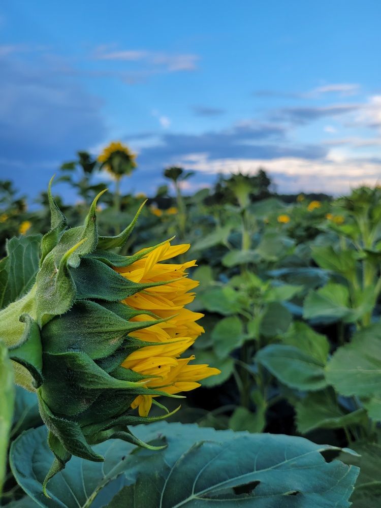 Photograph by Андреев Виктор
