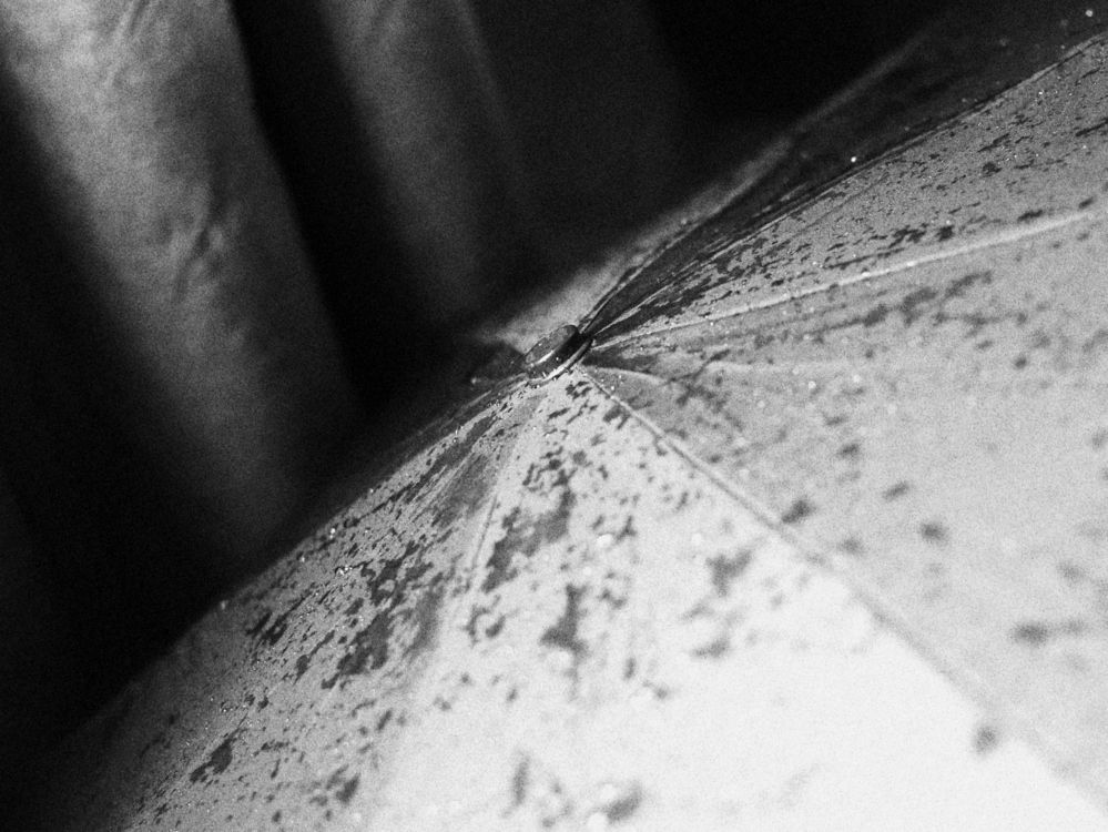 Photograph by Natalya Sedina