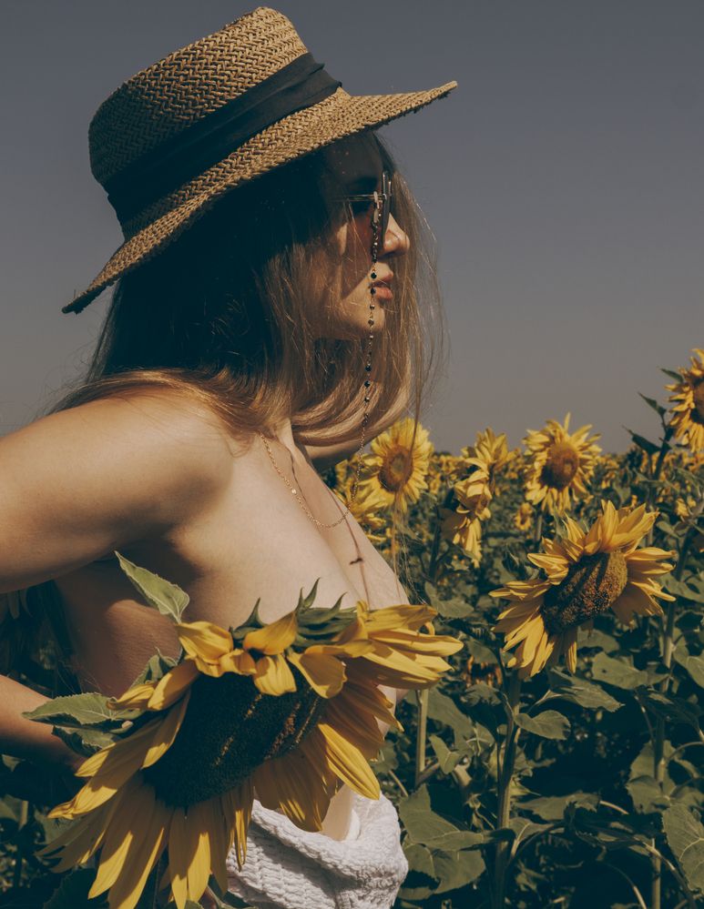 Фотография автора Александров Алексей