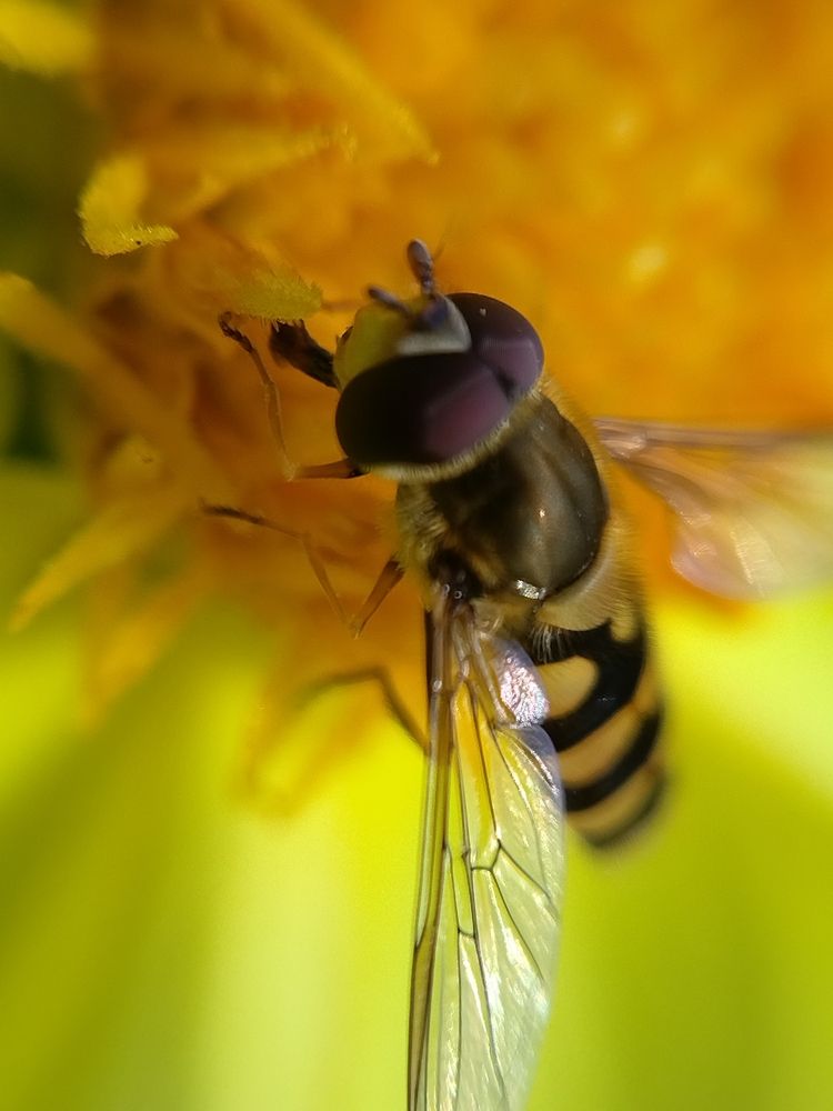 Photograph by Лилия