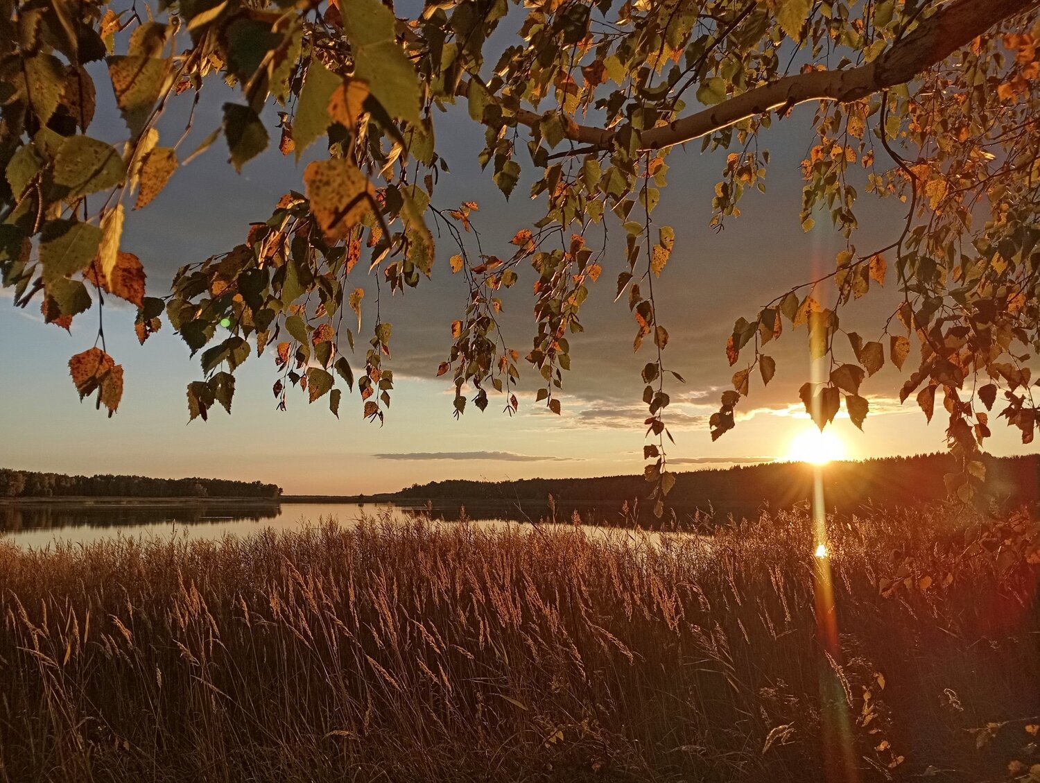 Photo #12598706