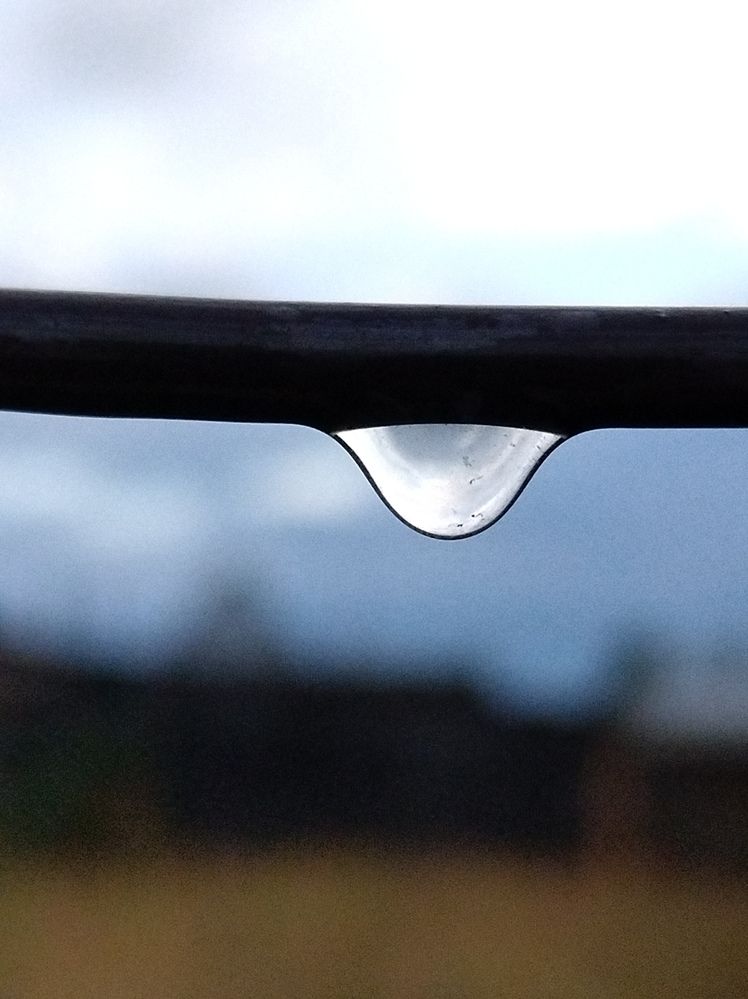 Photograph by Лилия