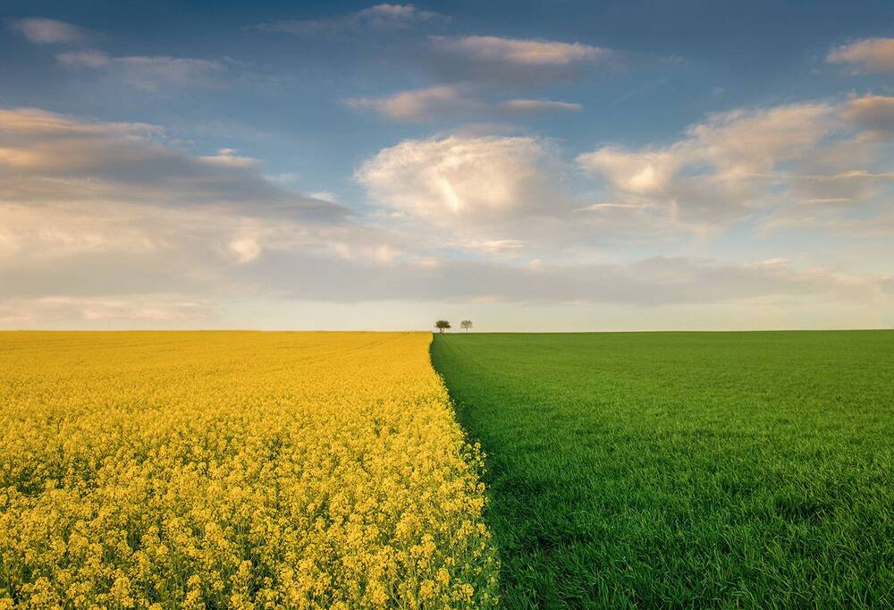 Photograph by Petr Brezna