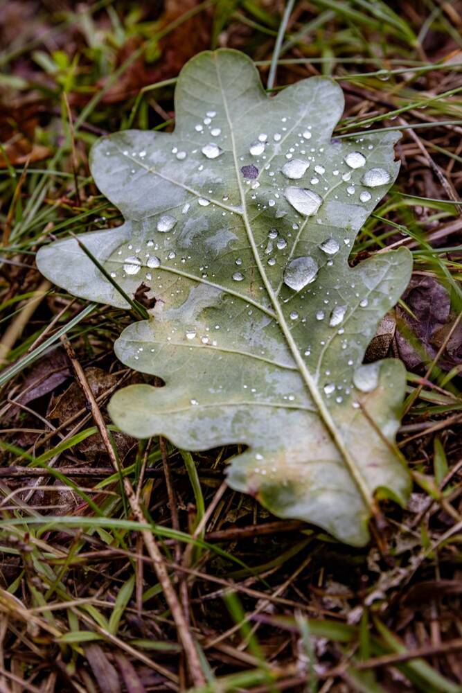 Photograph by Ineta Osipoviča