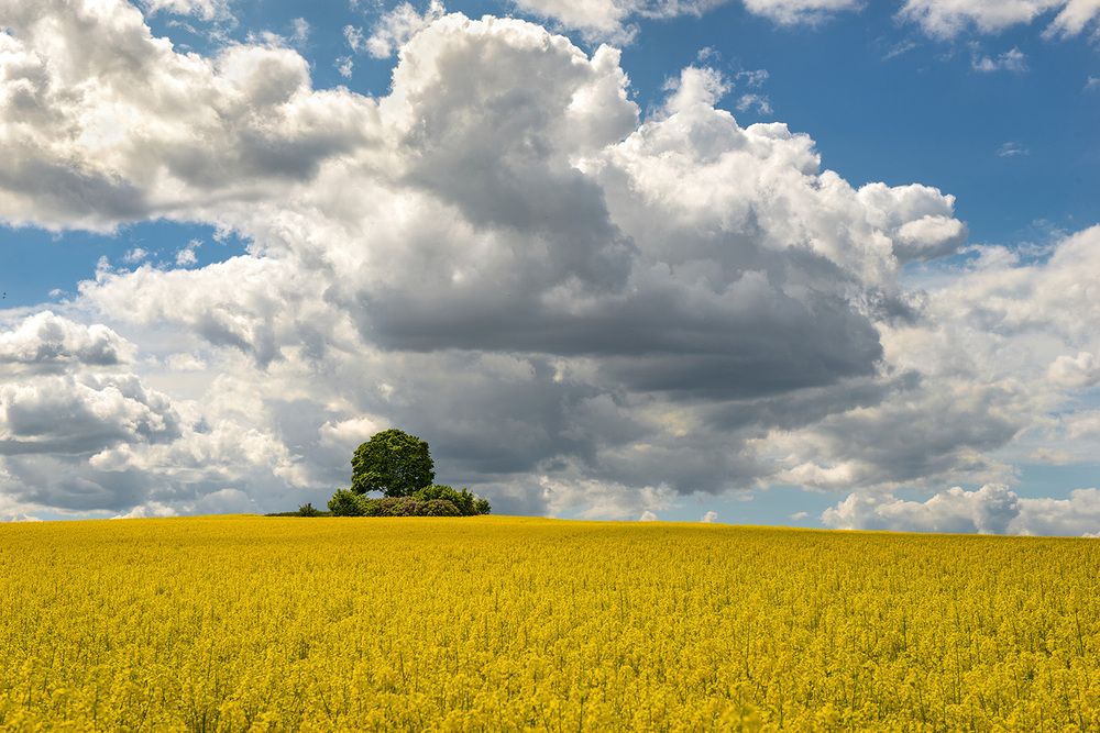 Photograph by Petr Brezna