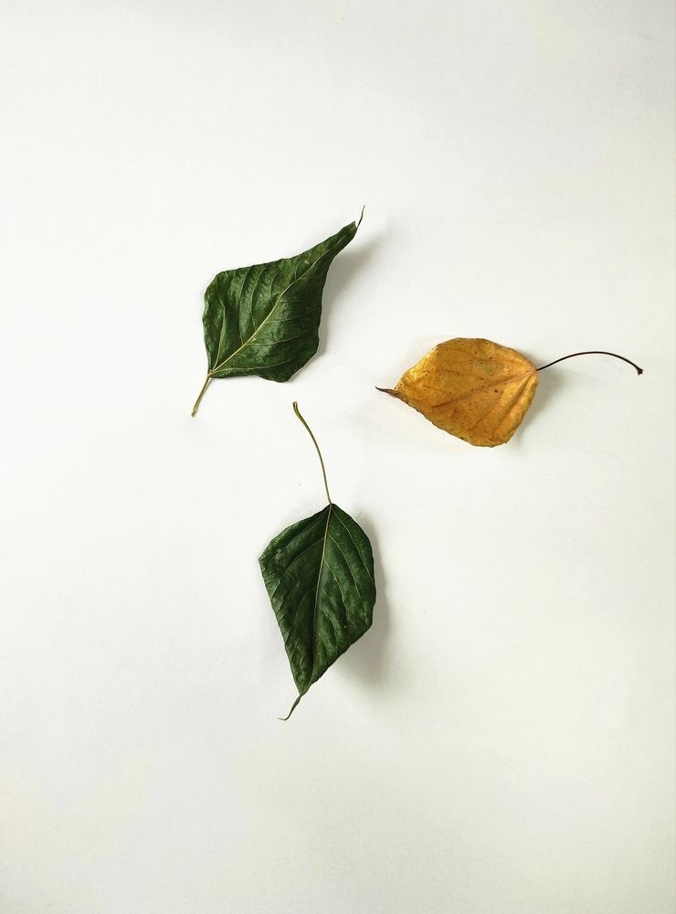 Photograph by Наталья Смирнова