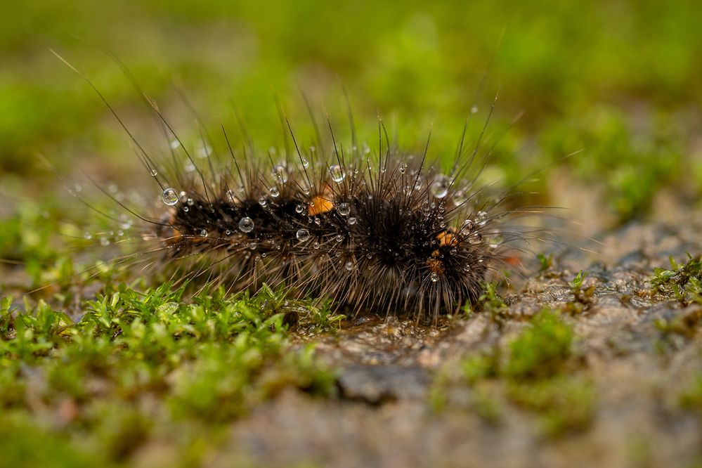 Photograph by Utkarsh Patil