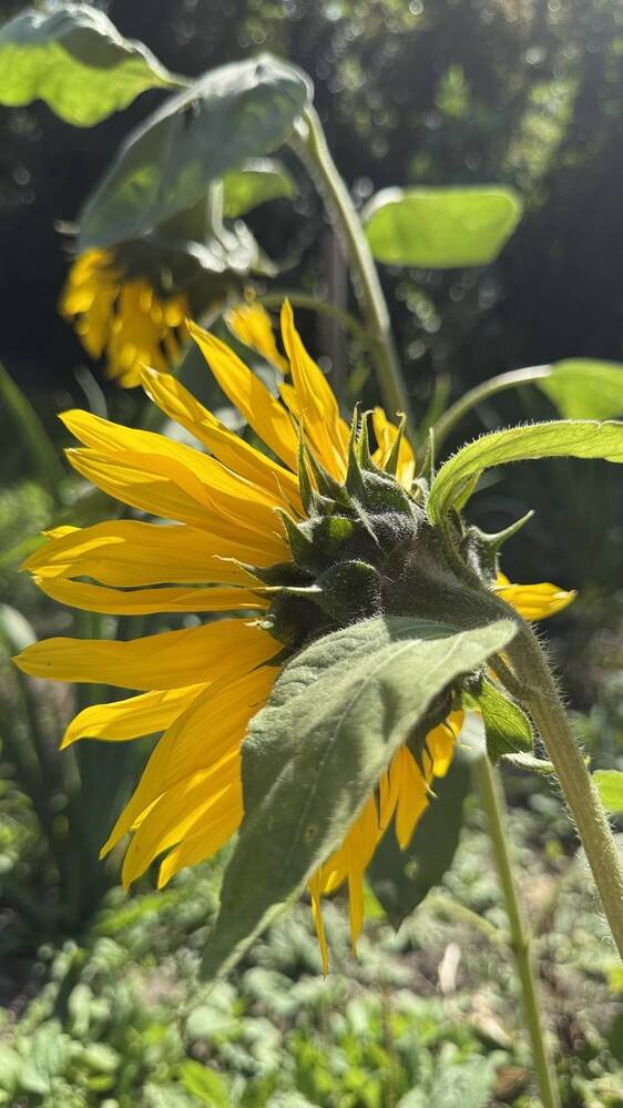 Photograph by Елена Гущина