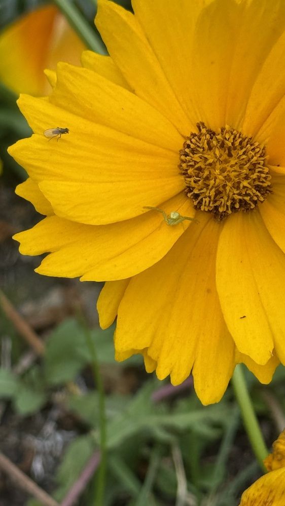 Photograph by Елена Гущина