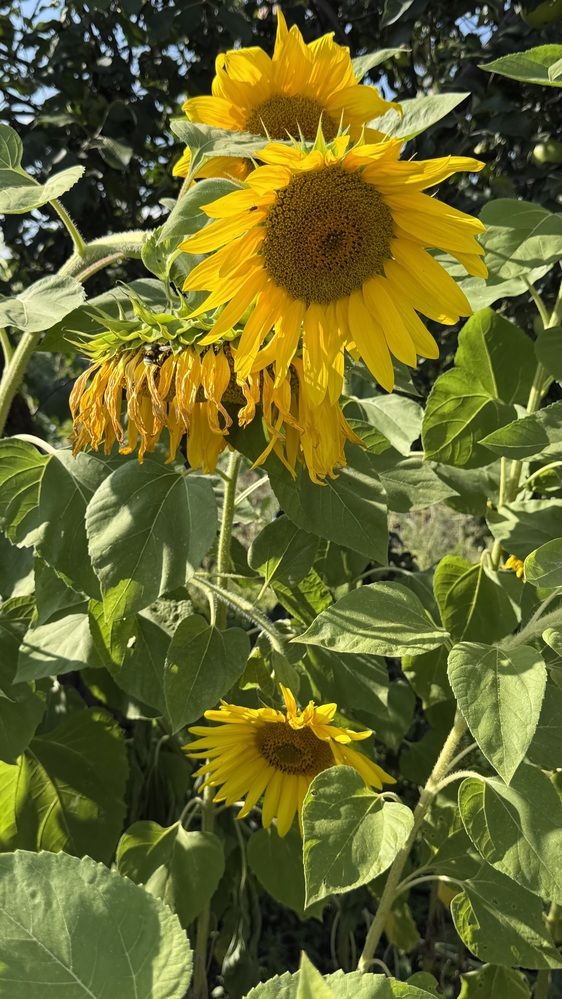 Photograph by Елена Гущина