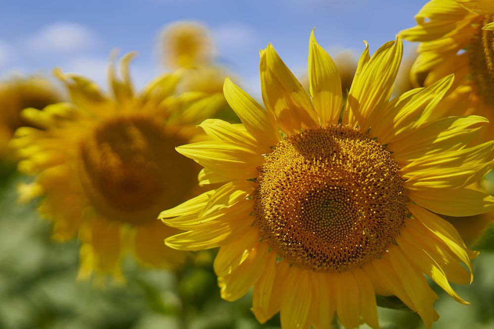 Photograph by John Doe