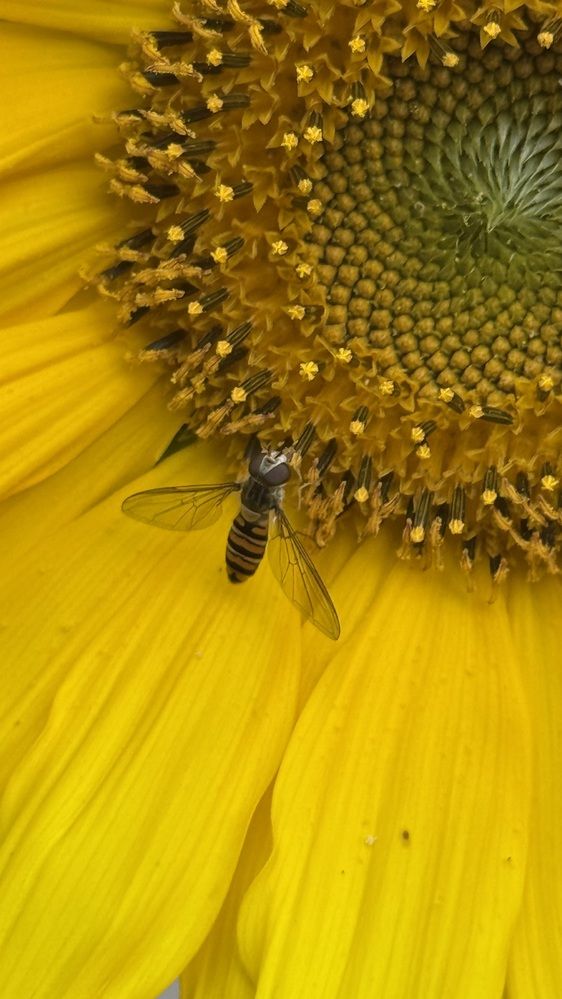 Photograph by Елена Гущина