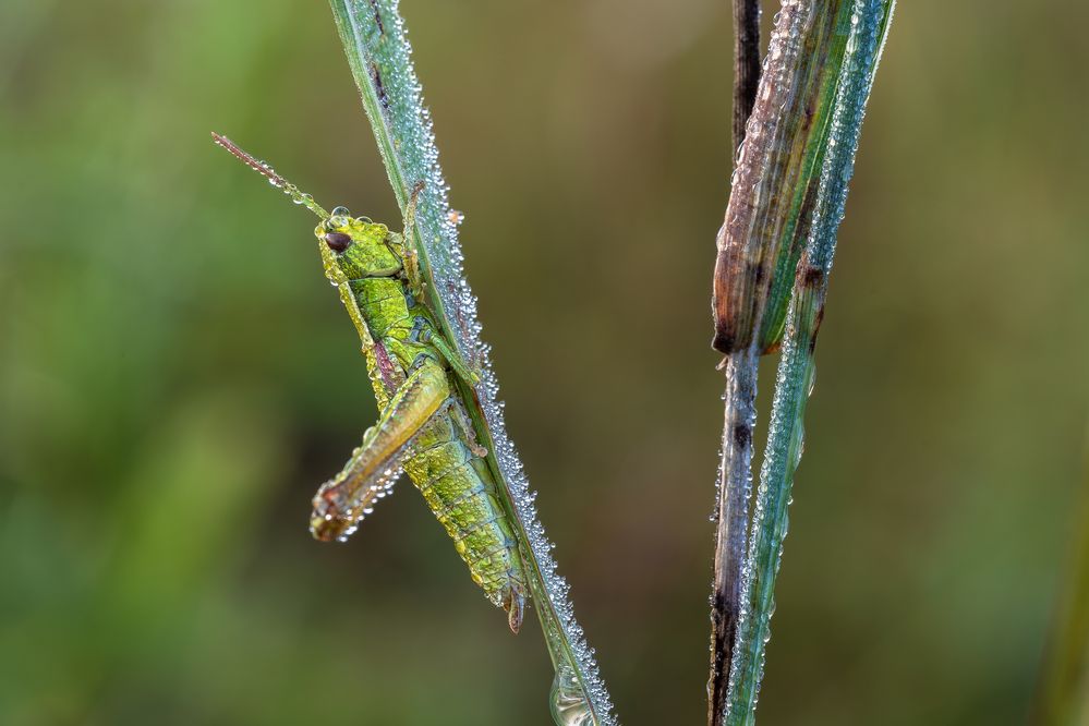 Фотография автора Зайцев Роман