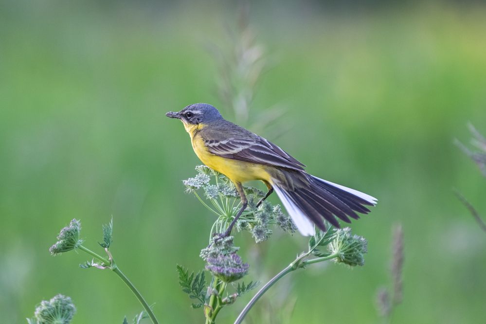 Photograph by Алексеев Сергей