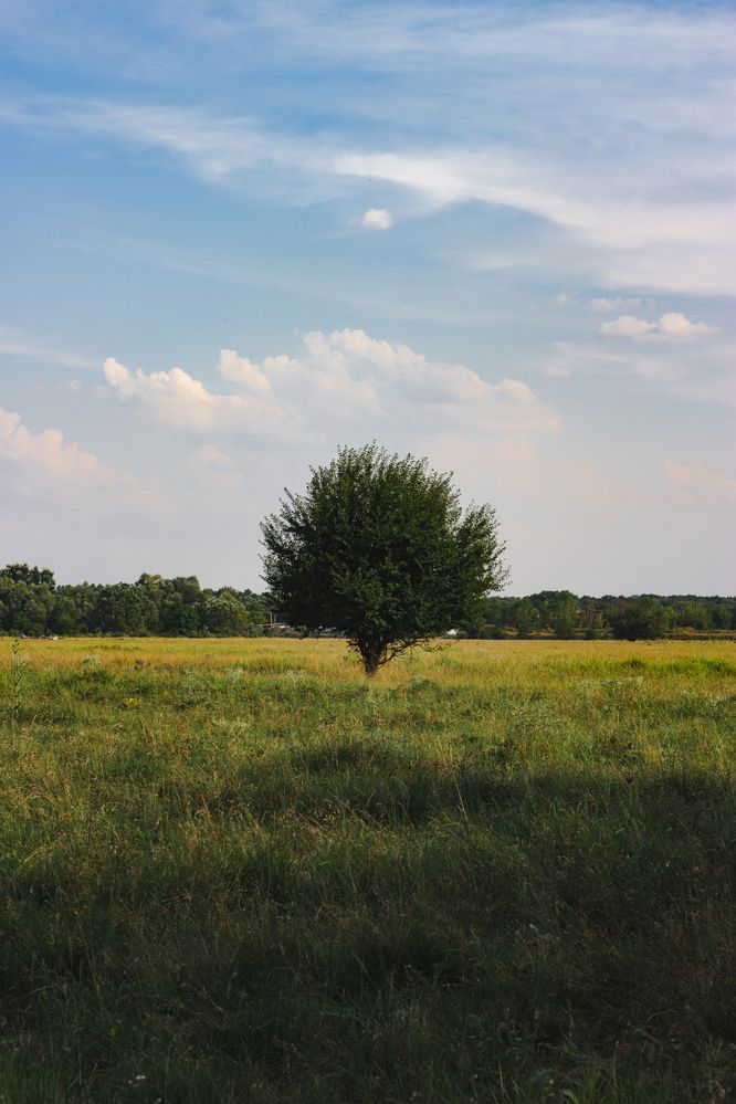 Photograph by Виктория