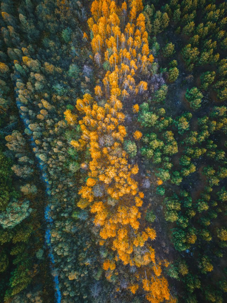 Photograph by Konstantin Martynov