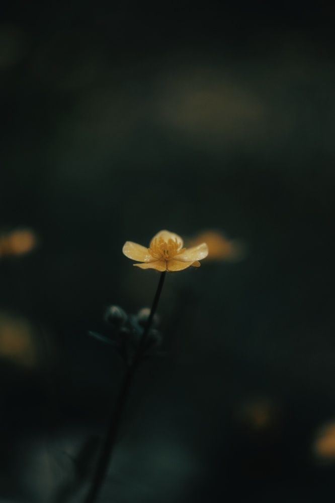 Photograph by Виктория