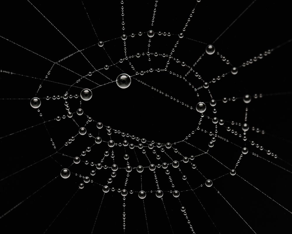 Photograph by Utkarsh Patil