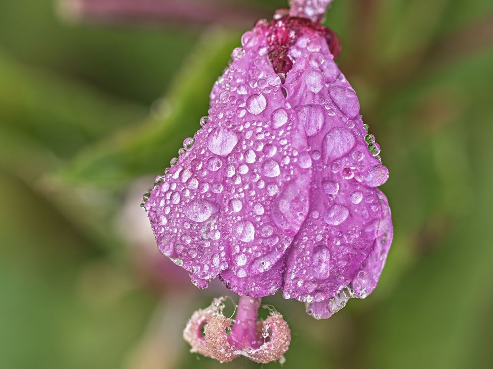 Photograph by Борис Полтавец