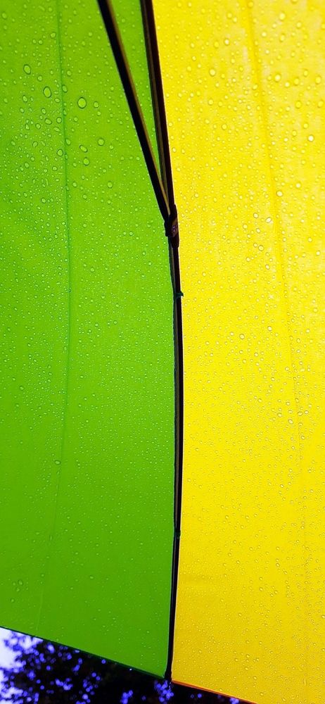 Прощай, молодое Бабье лето! До следующего года.