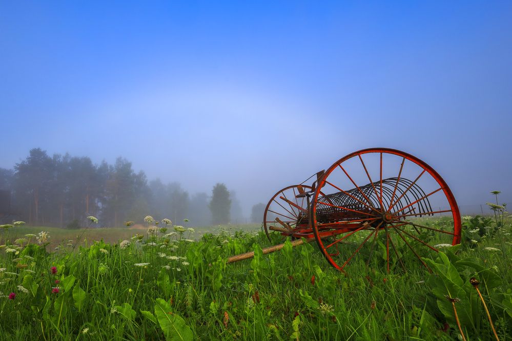Фотография автора EPCA/B, P IAAP, GPU CR1 Inga Ivanova