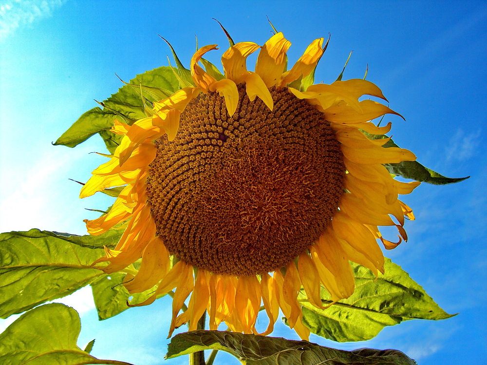 Photograph by Виталий Симоненков