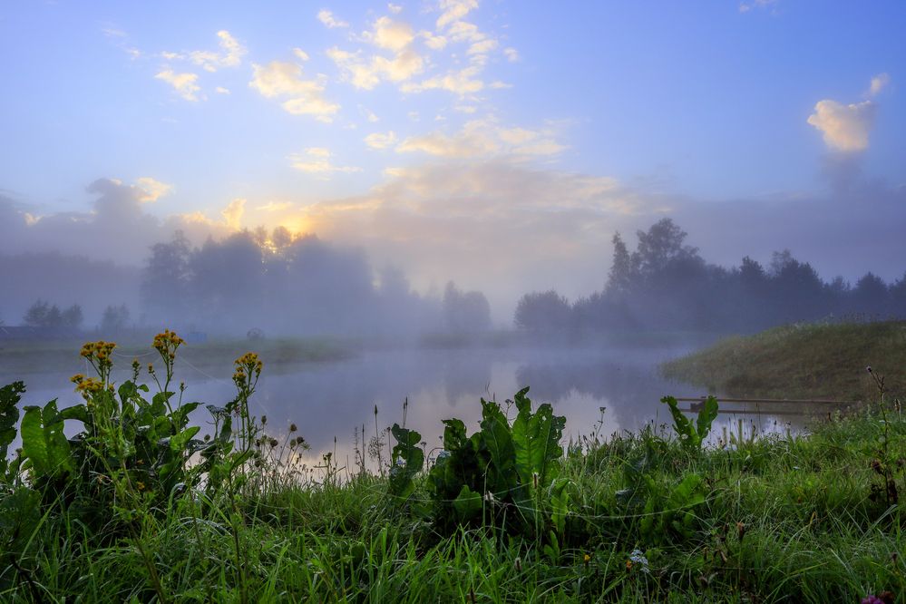 Фотография автора Inga Ivanova