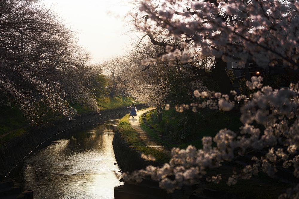 Фотография автора i_ ha__to