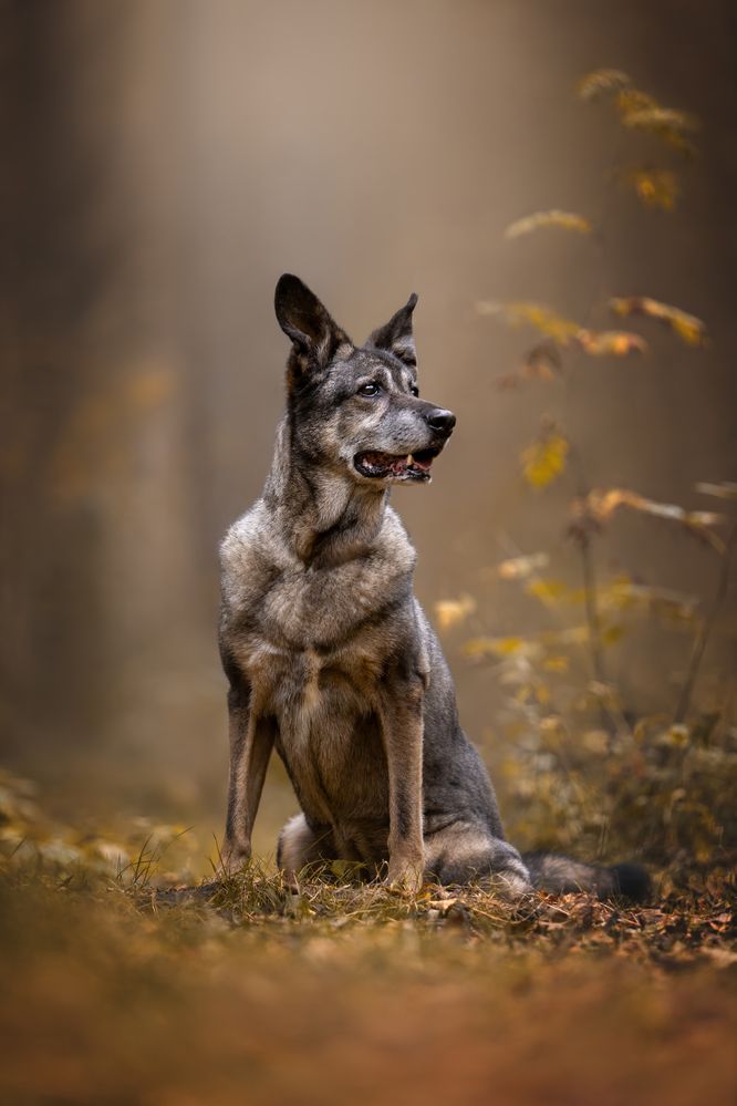 Photograph by Ирина Шестакова