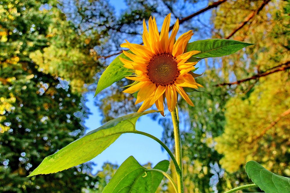 Photograph by Виталий Симоненков