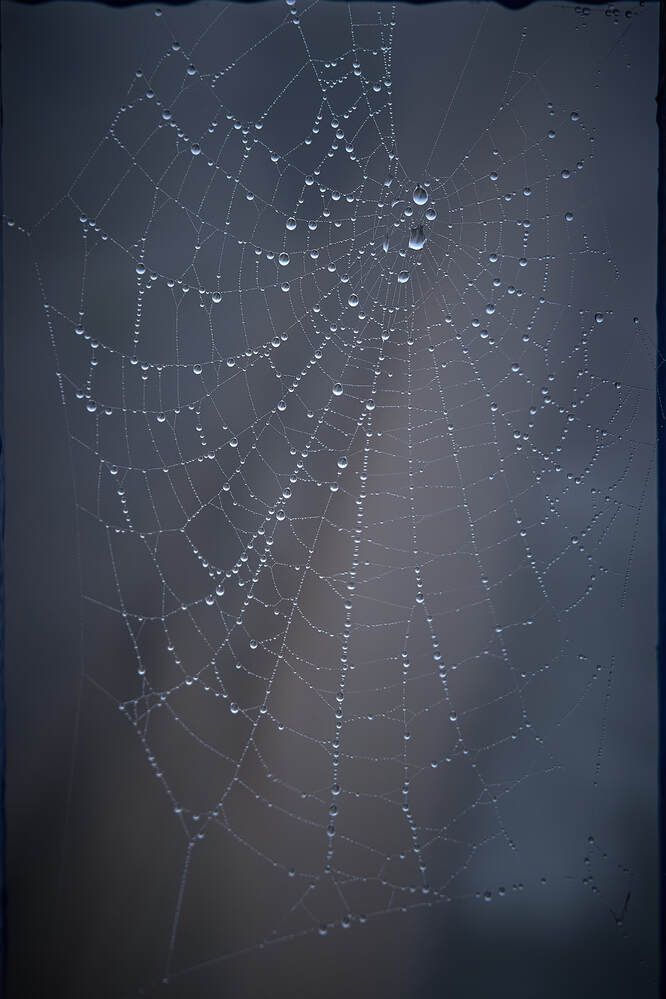 Photograph by Максим Карпович