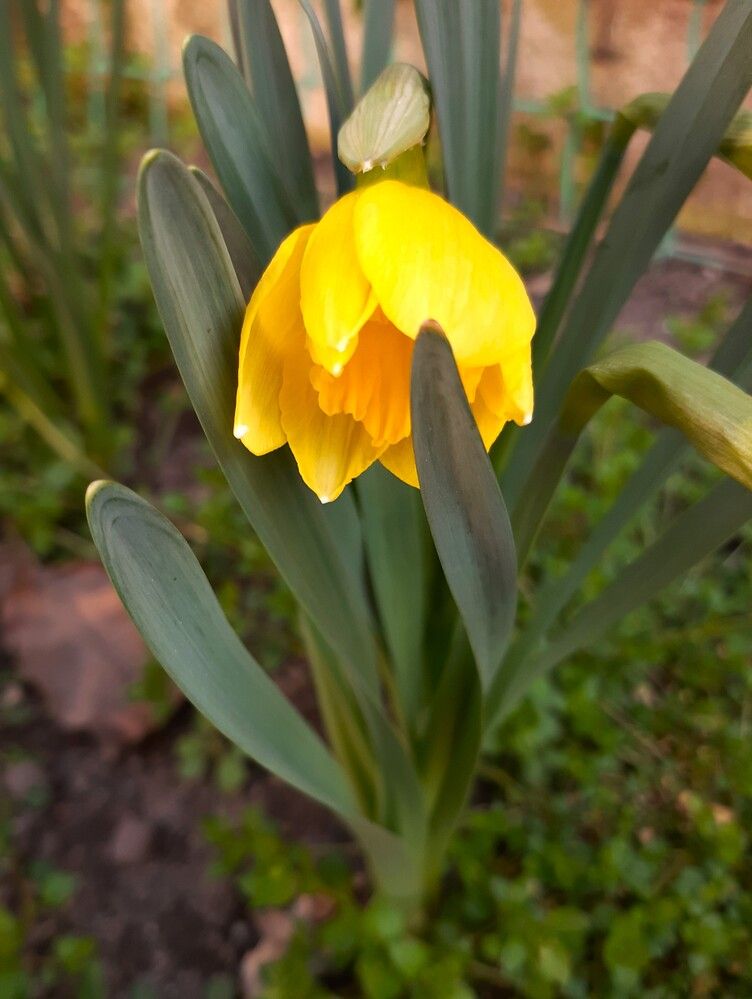 Photograph by Галина Глазкова