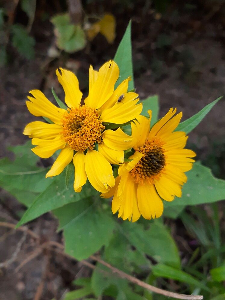 Photograph by Галина Глазкова