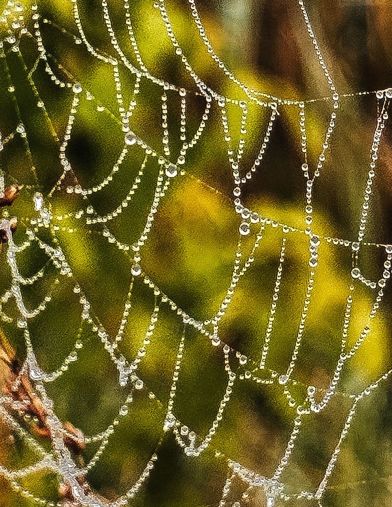Фотография автора Галина Шиманцова
