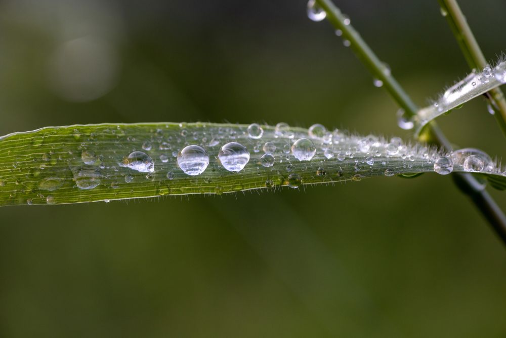 Photograph by Дмитрий Черепков