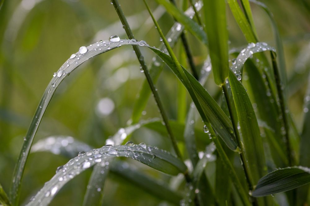 Photograph by Дмитрий Черепков