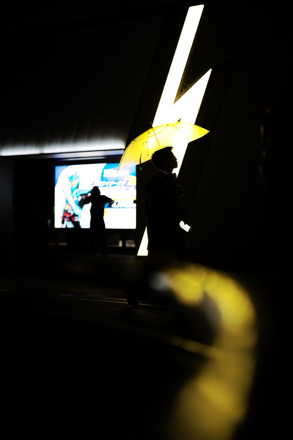 Photo #12599056