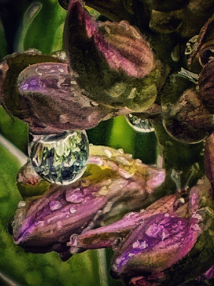 Фотография автора Галина Шиманцова