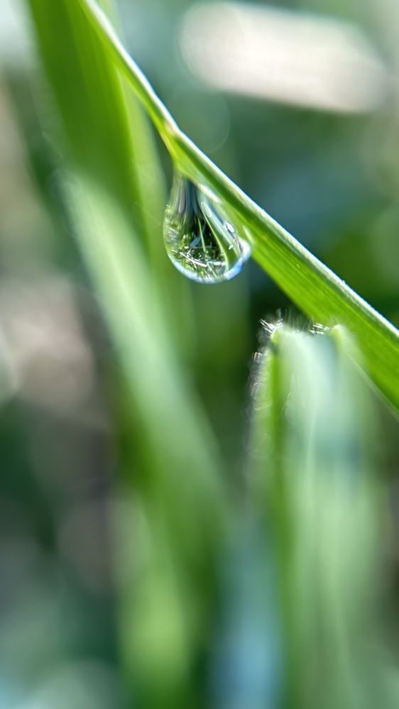 Photograph by Елена Гущина