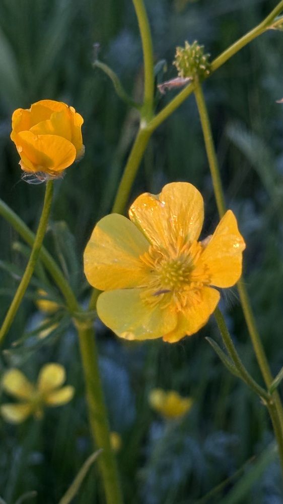 Photograph by Елена Гущина