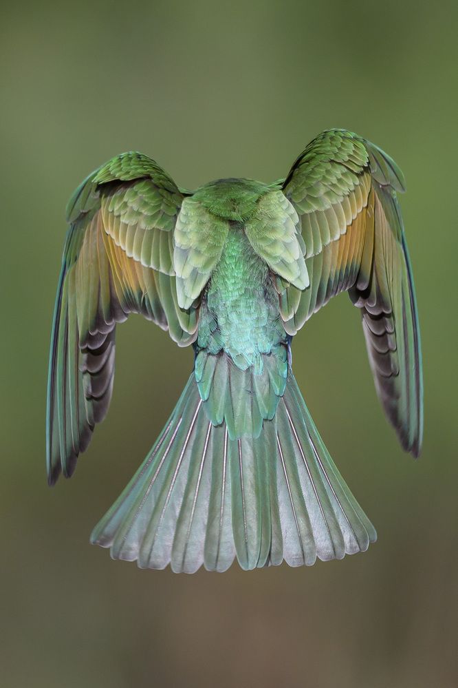 Photograph by Вячеслав Ладанов