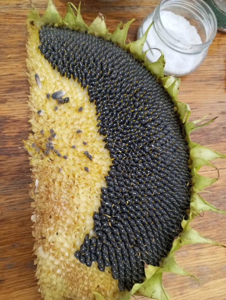 Photograph by Татьяна Кунц